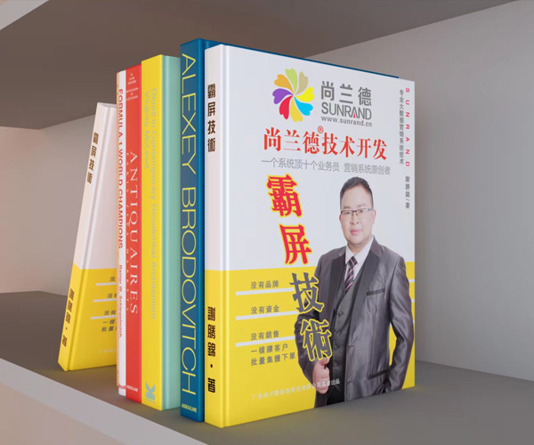 尚兰德霸屏技术展示